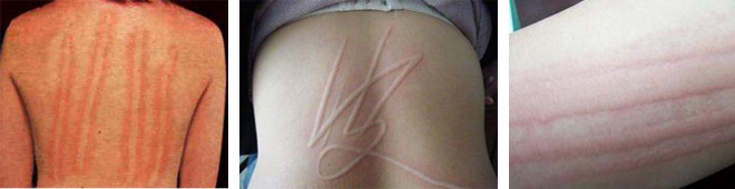 OPC˫Ʒ ƹ սݡ